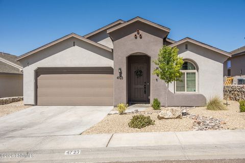 Homes For Sale - 4723 Big Springs Street<br/> Dona Ana County, Las Cruces, NM 88012