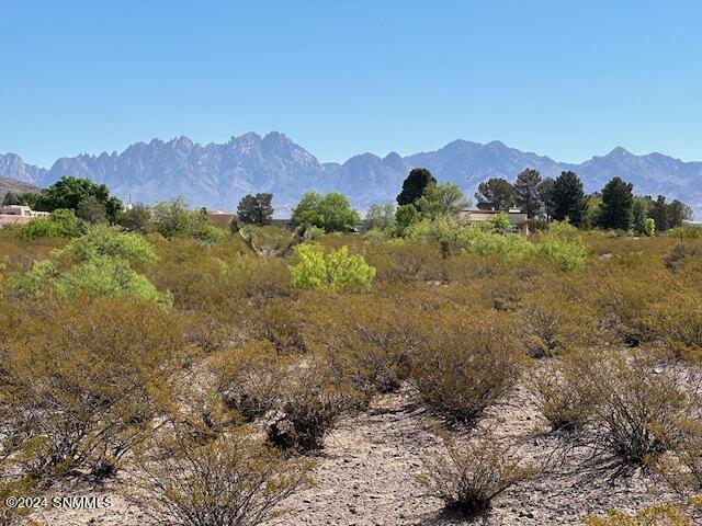 TBD Ocotillo Road, Las Cruces, New Mexico image 1