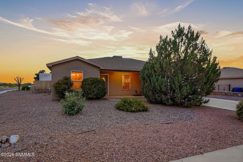 Homes For Sale - 4207 Great Basin Lane<br/> Dona Ana County, Las Cruces, NM 88011
