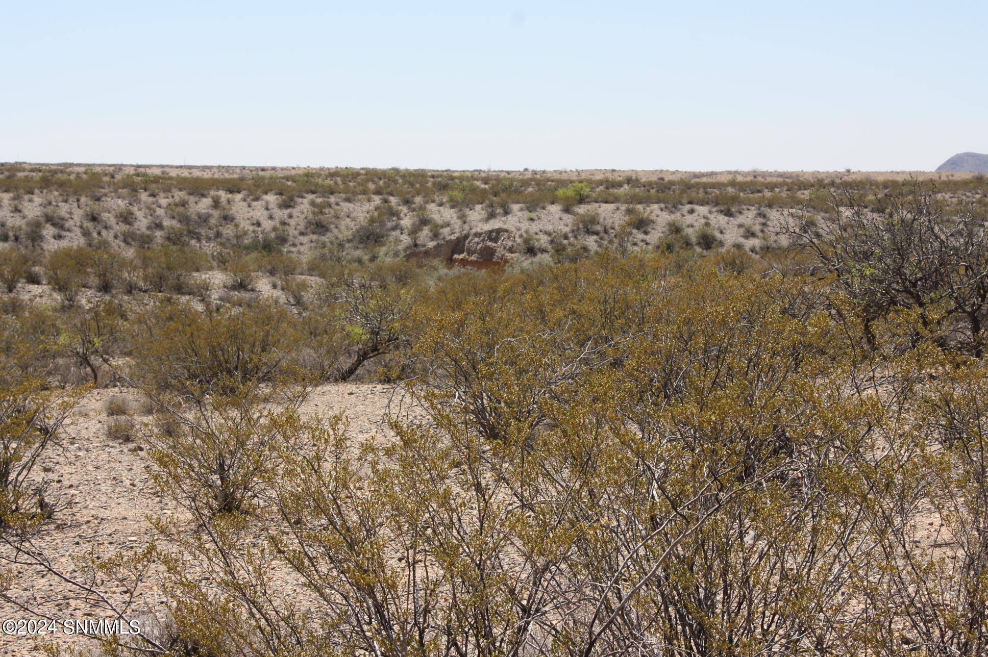 4000 Dunn Street, Las Cruces, New Mexico image 6