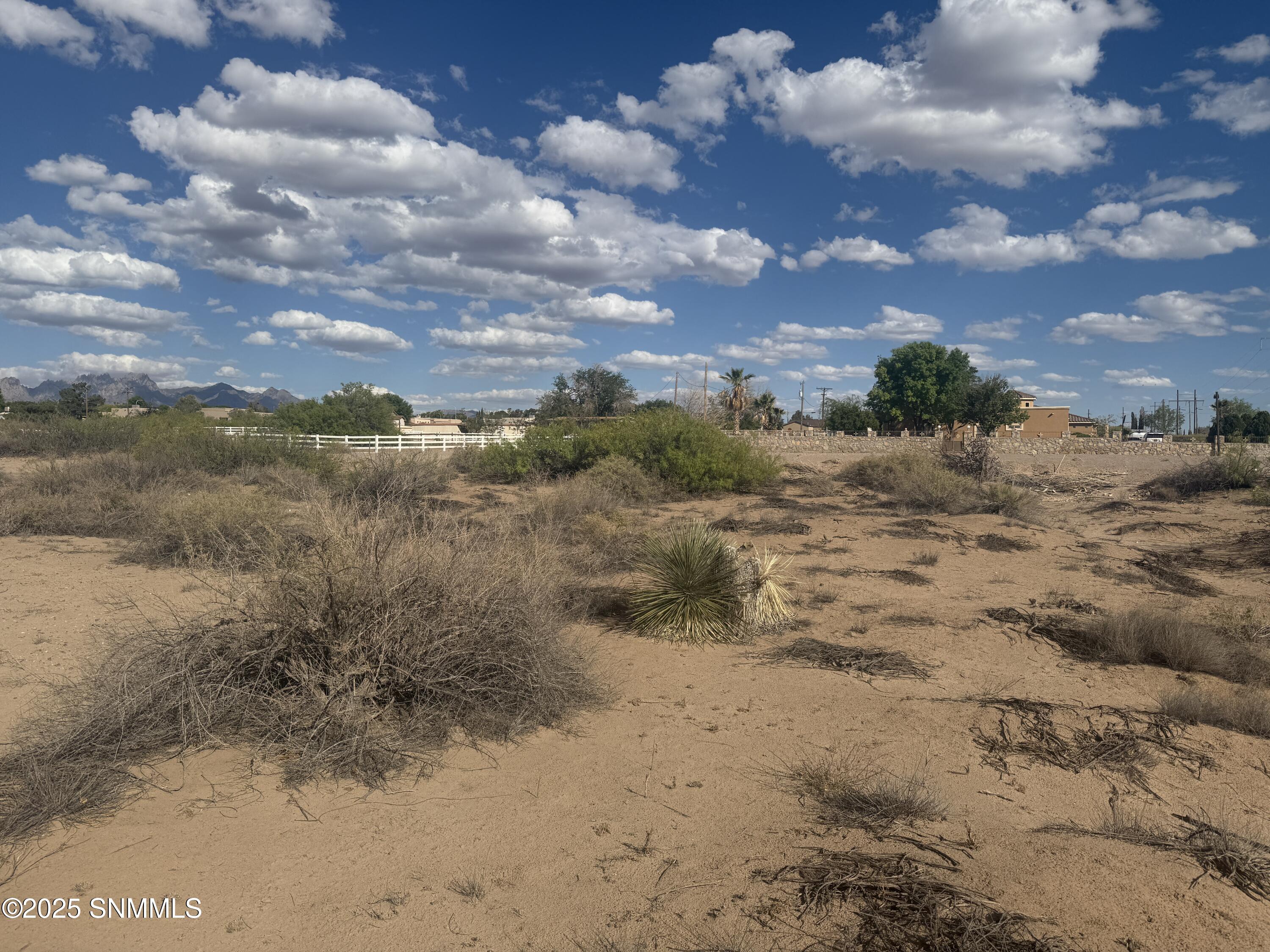 TBD Holliday, Las Cruces, New Mexico image 2