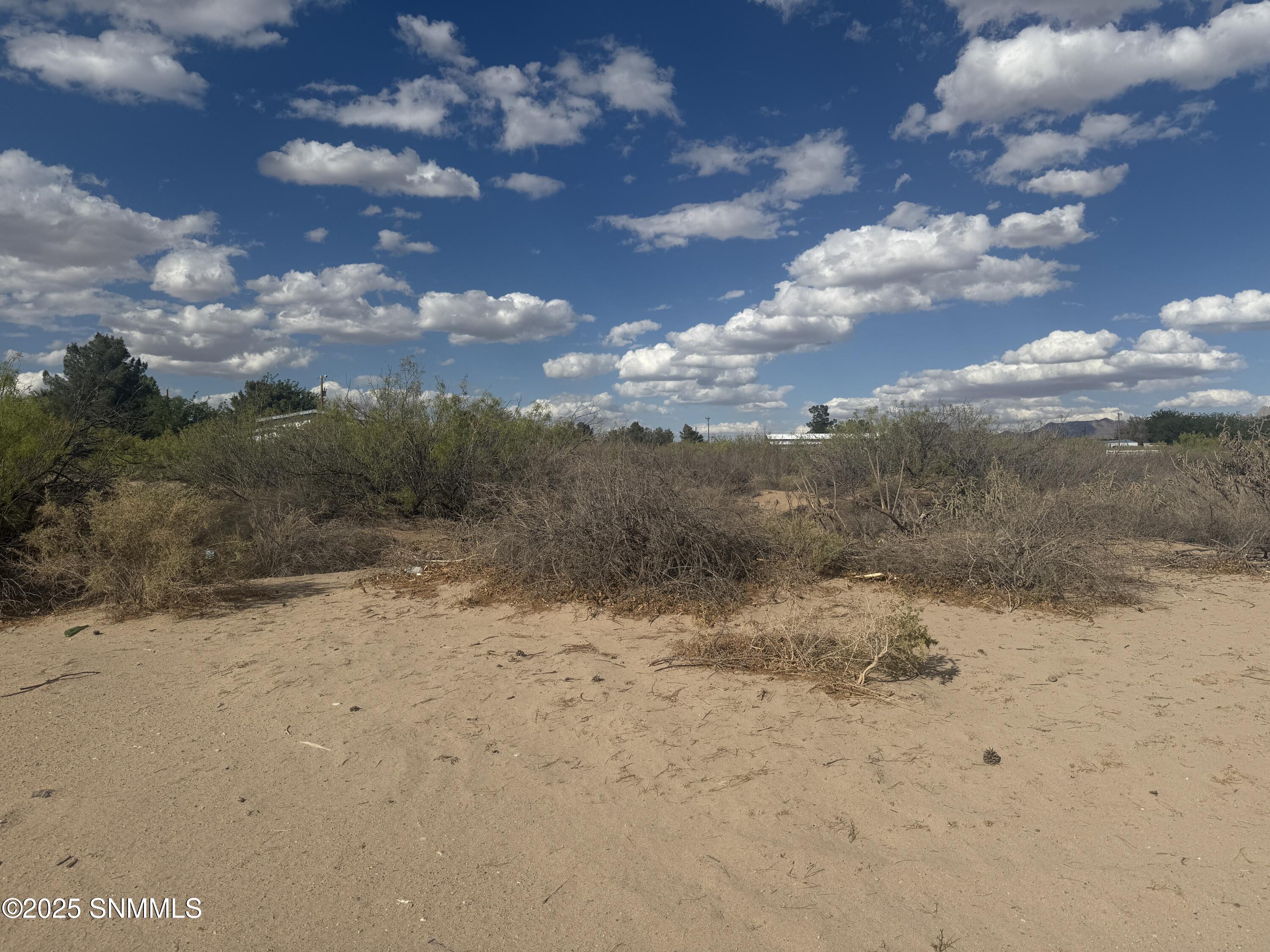 TBD Holliday, Las Cruces, New Mexico image 3
