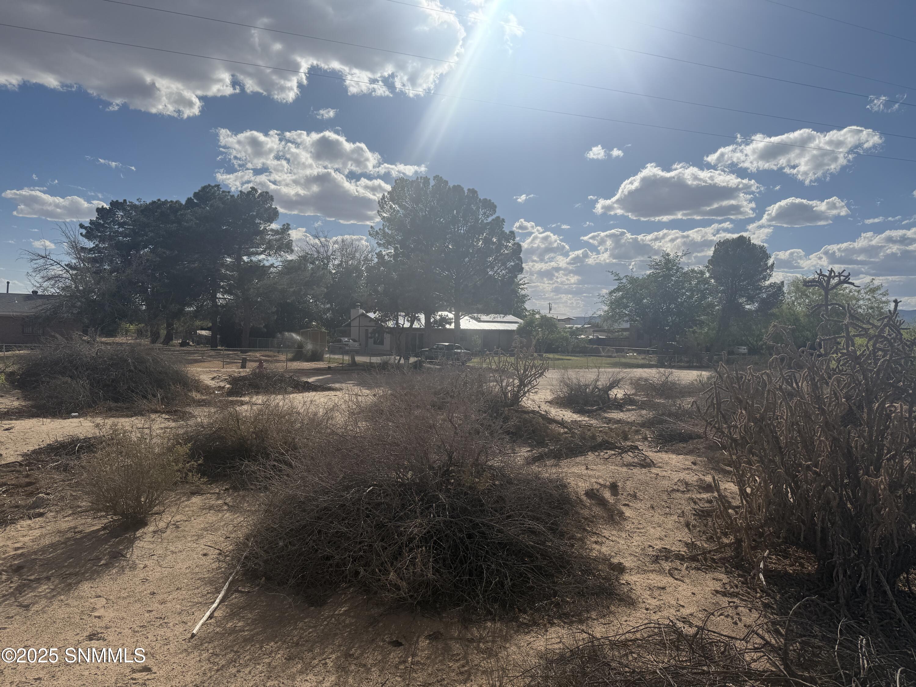 TBD Holliday, Las Cruces, New Mexico image 5