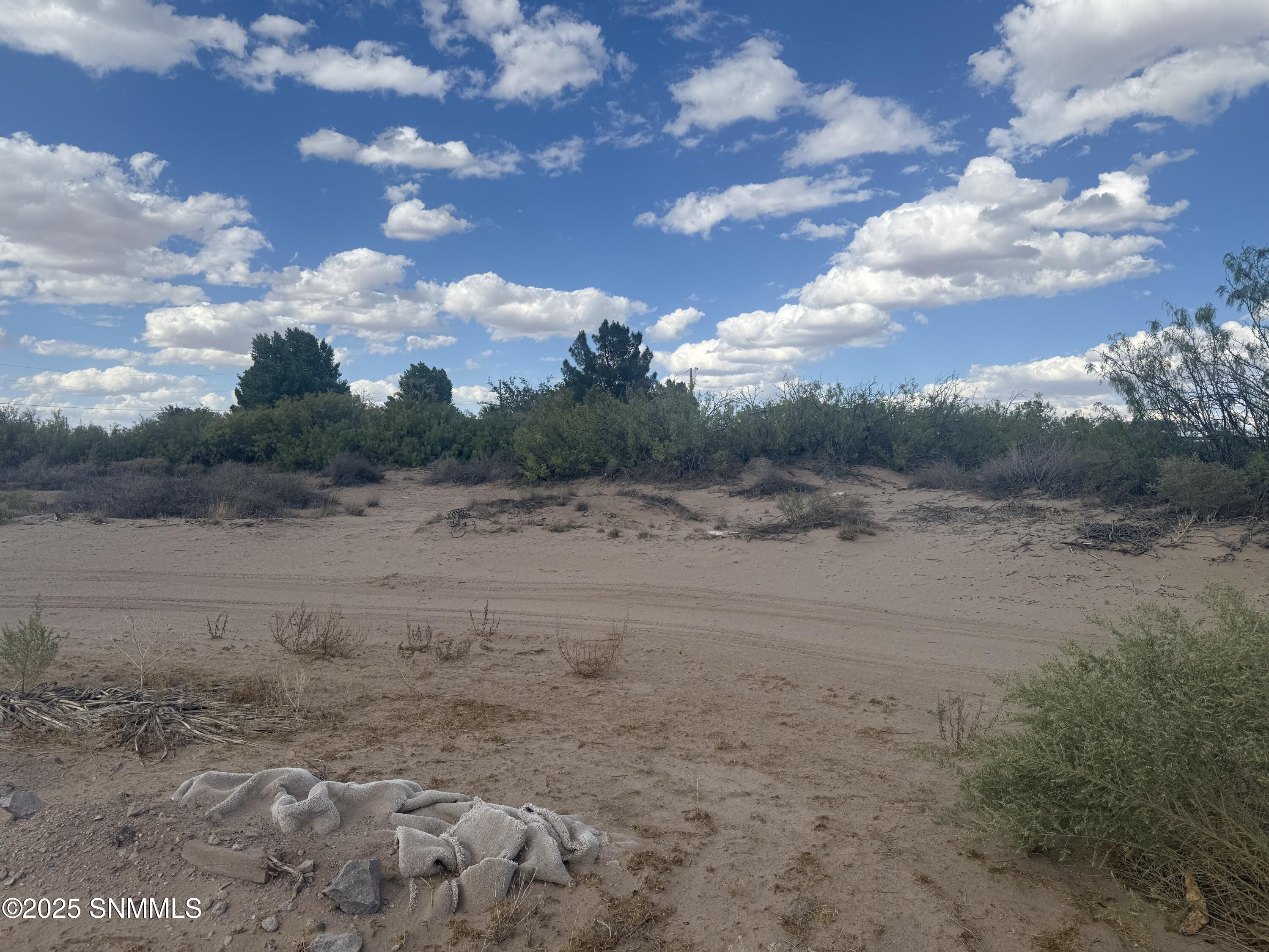 TBD Holliday, Las Cruces, New Mexico image 4