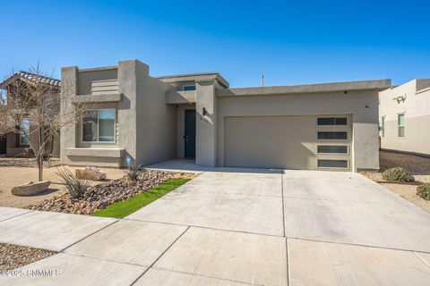6111 Firefly Avenue, Las Cruces, NM 88012 - #: 2500211