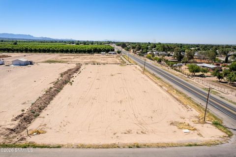 Vacant Land For Sale - 1310 Apple Tree Lane<br/> Dona Ana County, Las Cruces, NM 88007