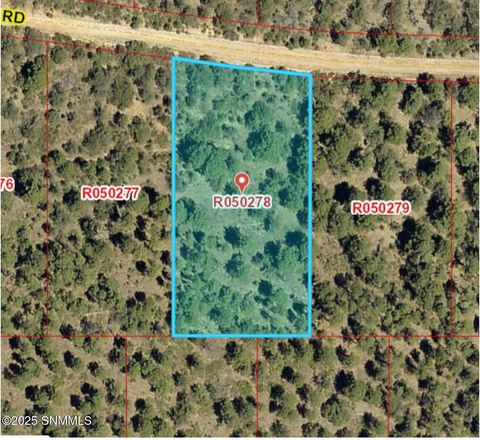 Vacant Land For Sale - 72 Brownwood Road<br/> Timberon, NM 88350
