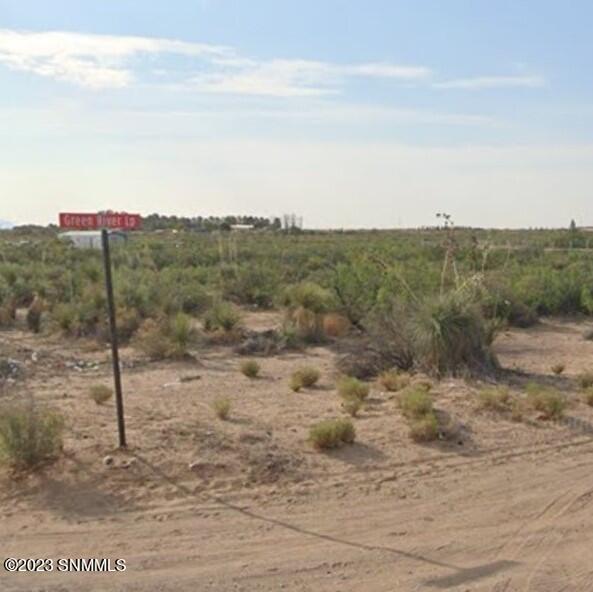 2060 Green Tree Loop, Chaparral, New Mexico image 8