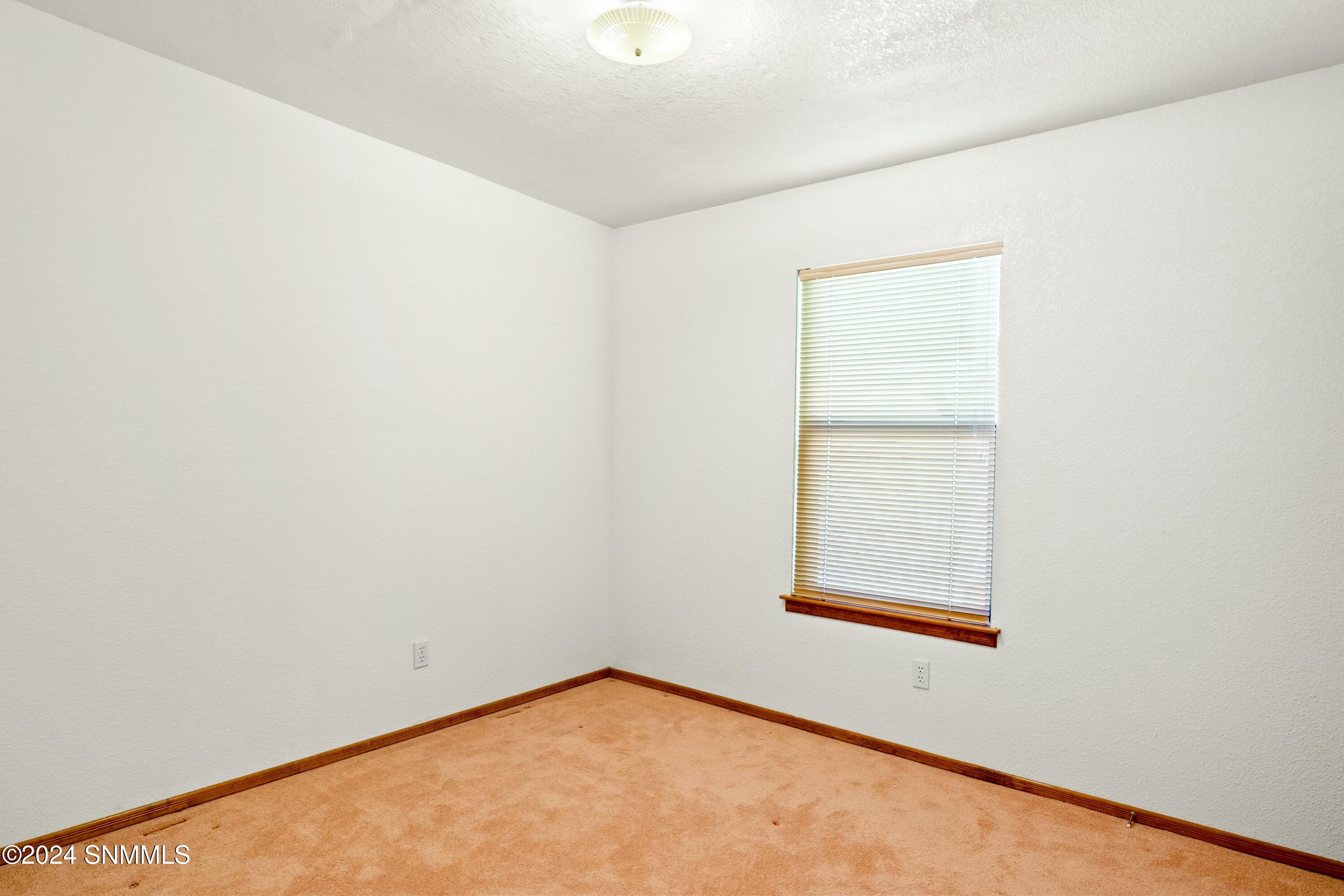 4049 Pine Needle Bnd, Las Cruces, New York image 26