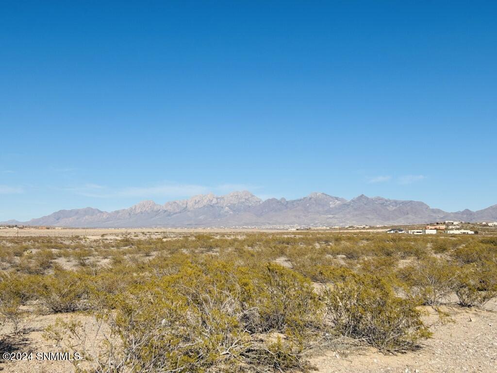 4403 Rc Gorman Loop, Las Cruces, New Mexico image 9