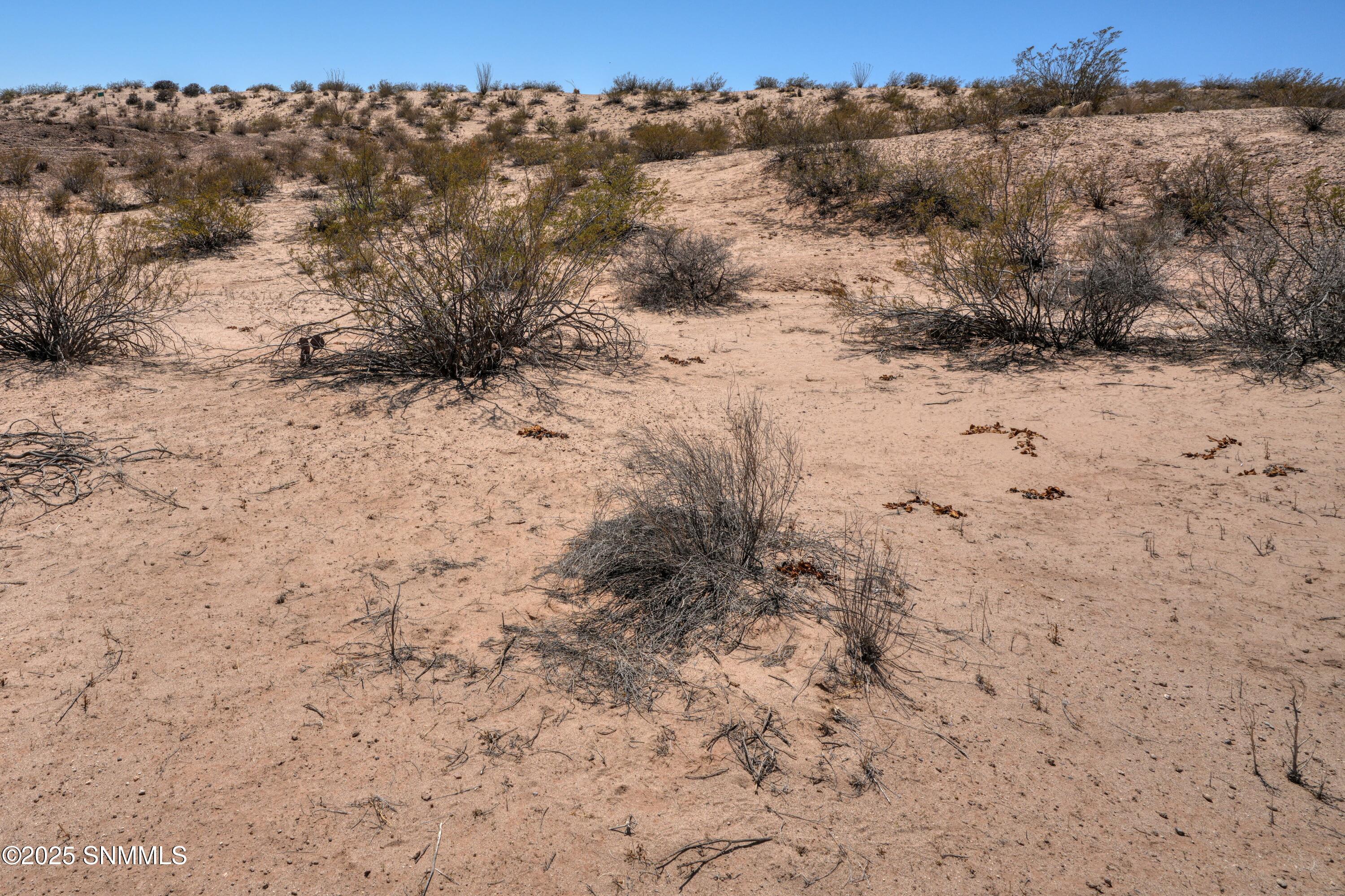 1287 Calle Ventanas, Las Cruces, New Mexico image 4
