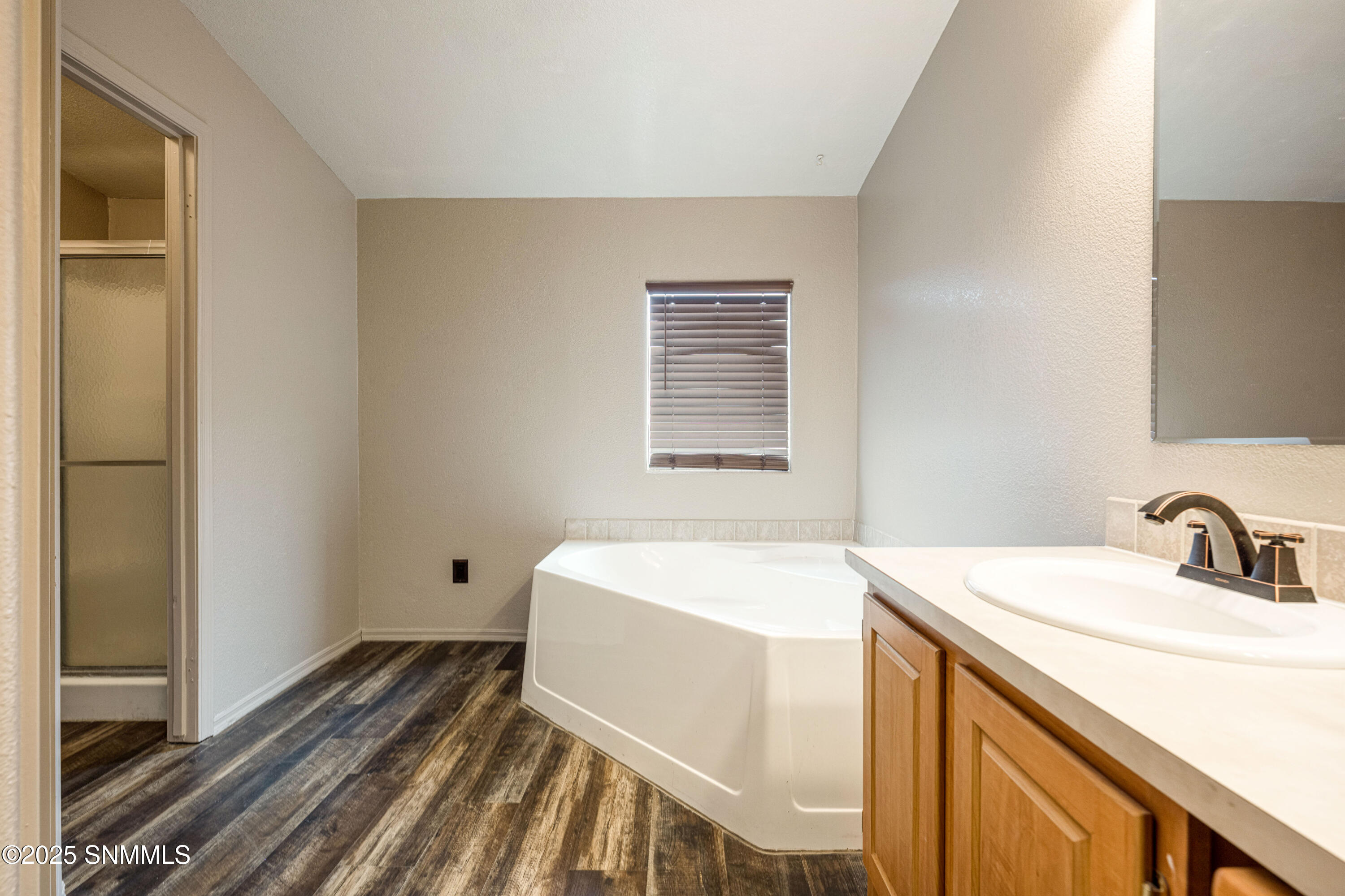 1245 Carlsbad Court, Mesilla Park, New Mexico image 29