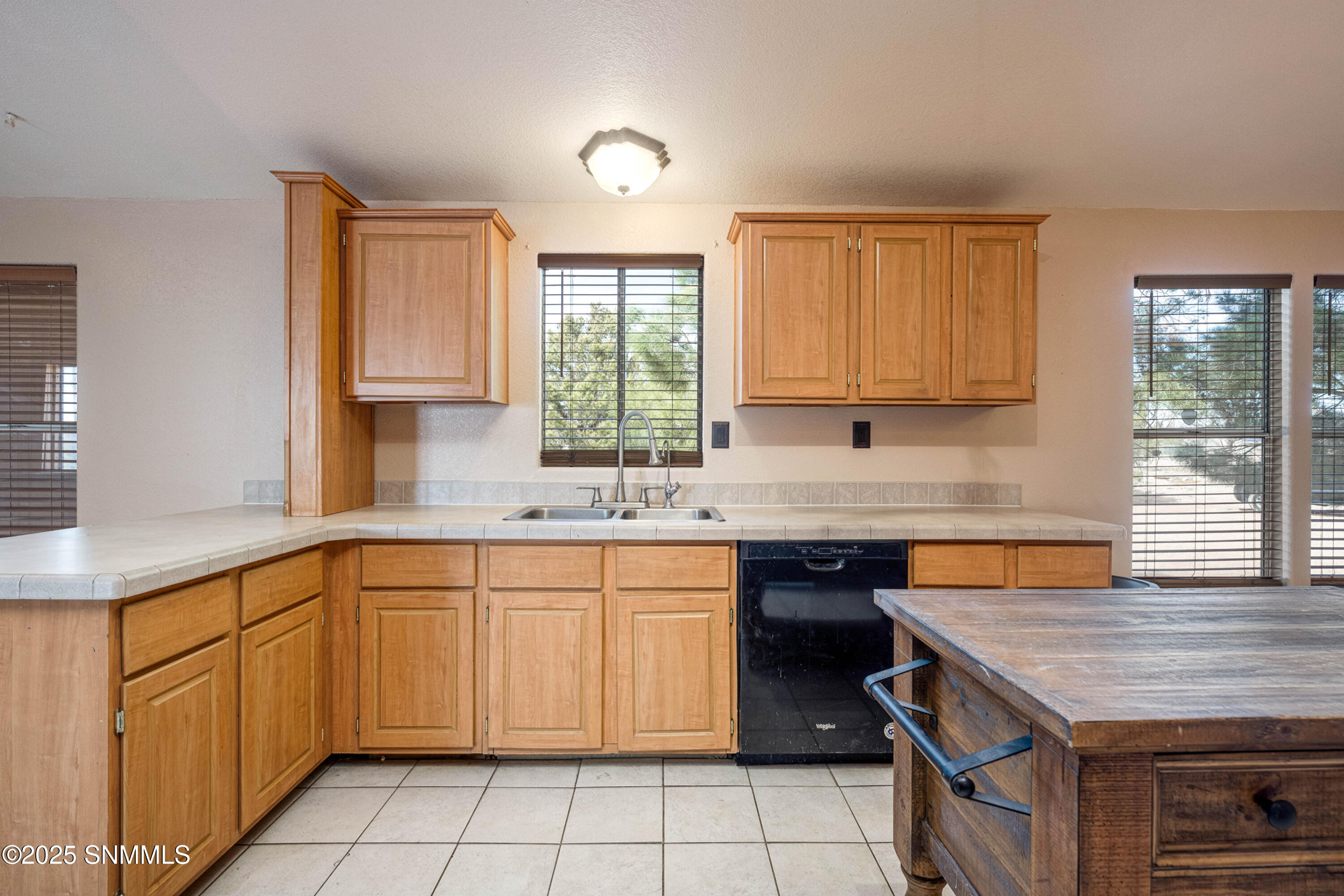 1245 Carlsbad Court, Mesilla Park, New Mexico image 17