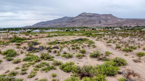 Vacant Land For Sale - TBD Tres Amigos Road<br/> Radium Springs, NM 88054