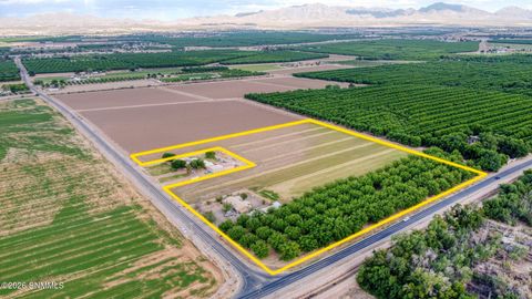 Vacant Land For Sale - 3035 W Ohara Road<br/> Anthony, NM 88021