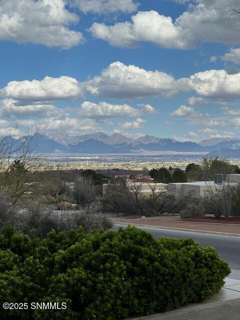 6796 Via Campestre Court, Las Cruces, New Mexico image 33