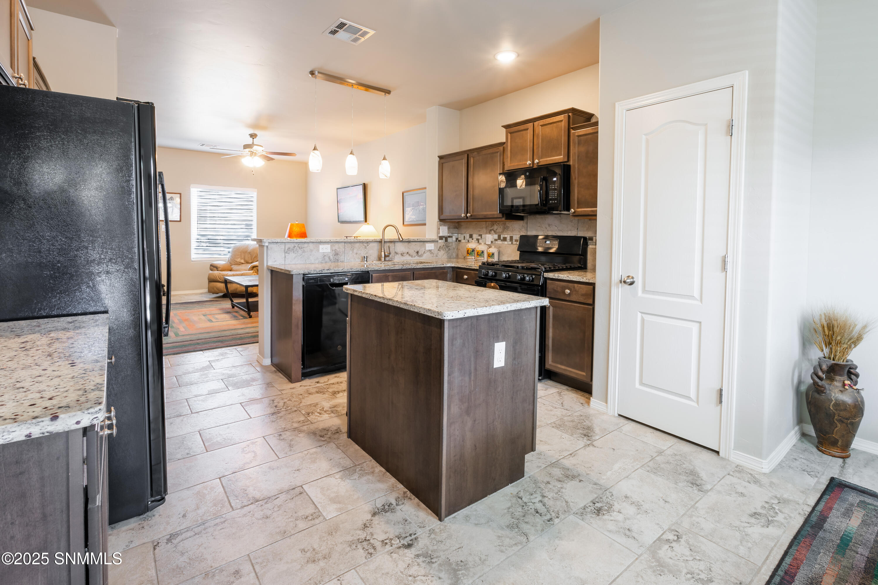 3039 La Union Court, Las Cruces, New Mexico image 9