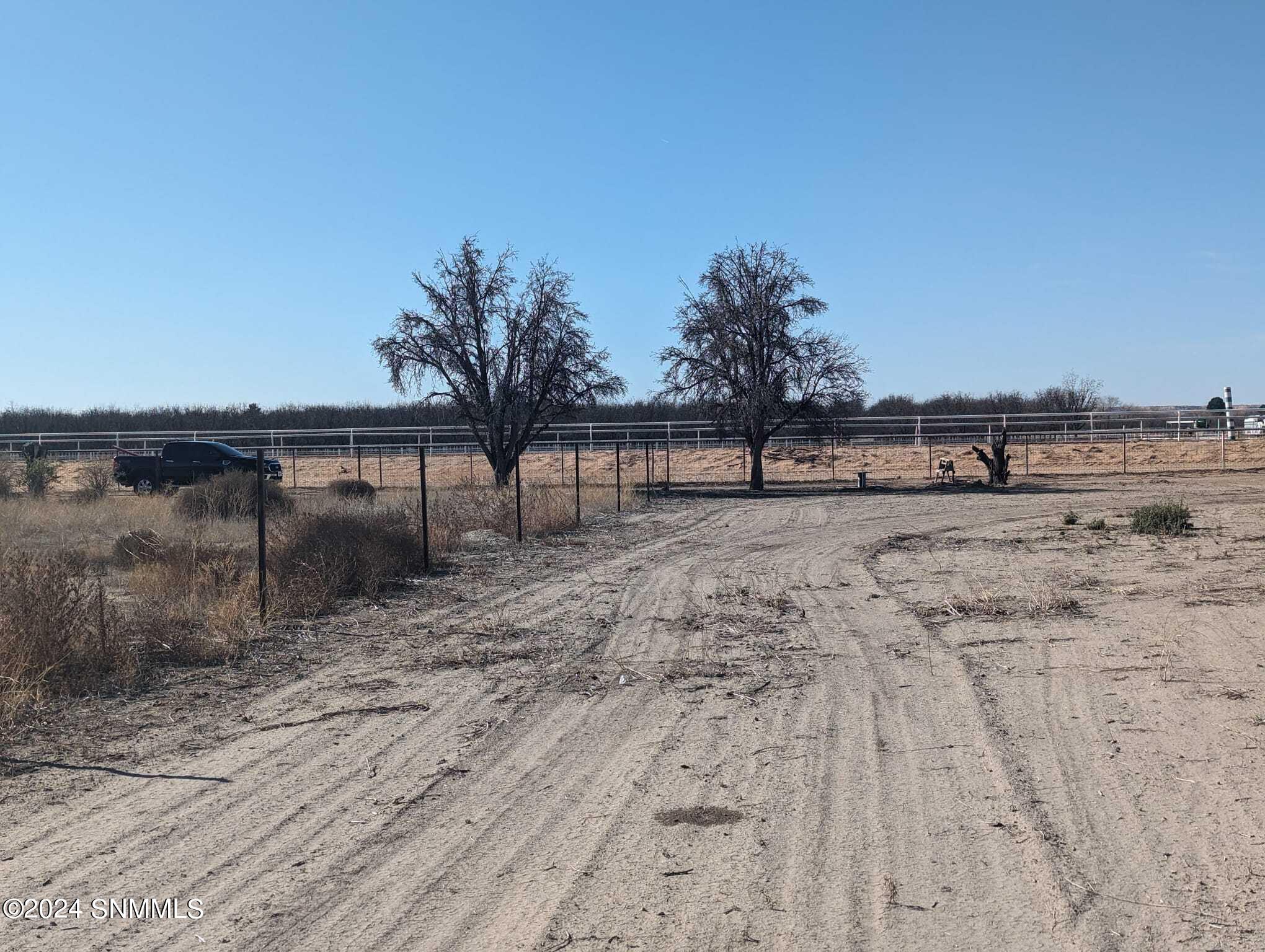 1166 Webb Road, Anthony, New Mexico image 16