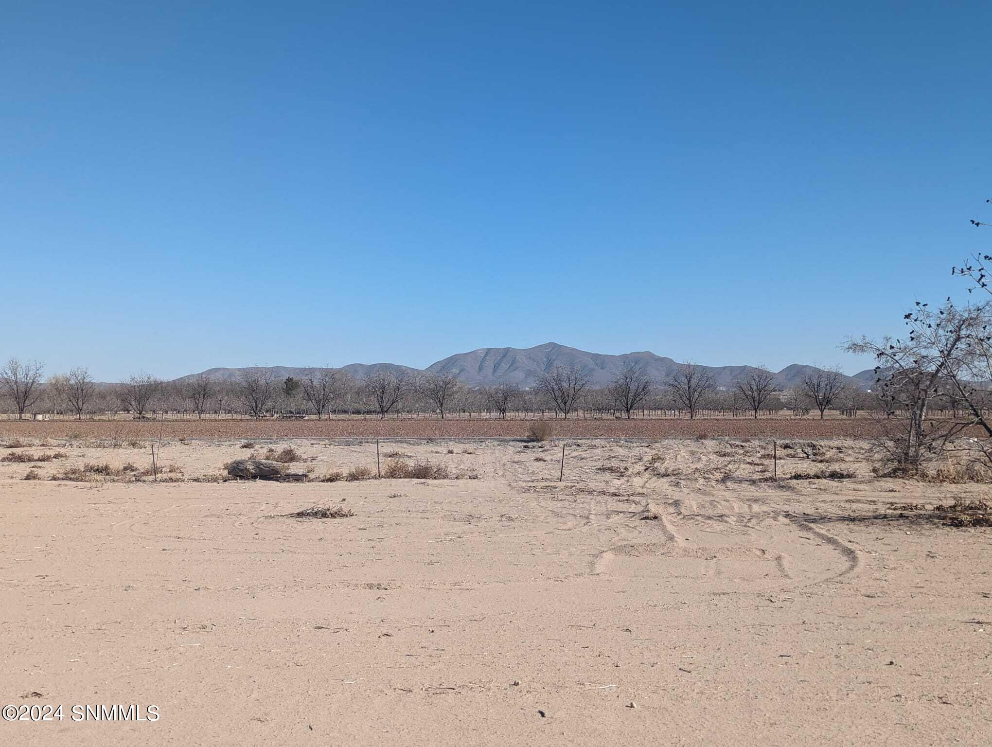 1166 Webb Road, Anthony, New Mexico image 9