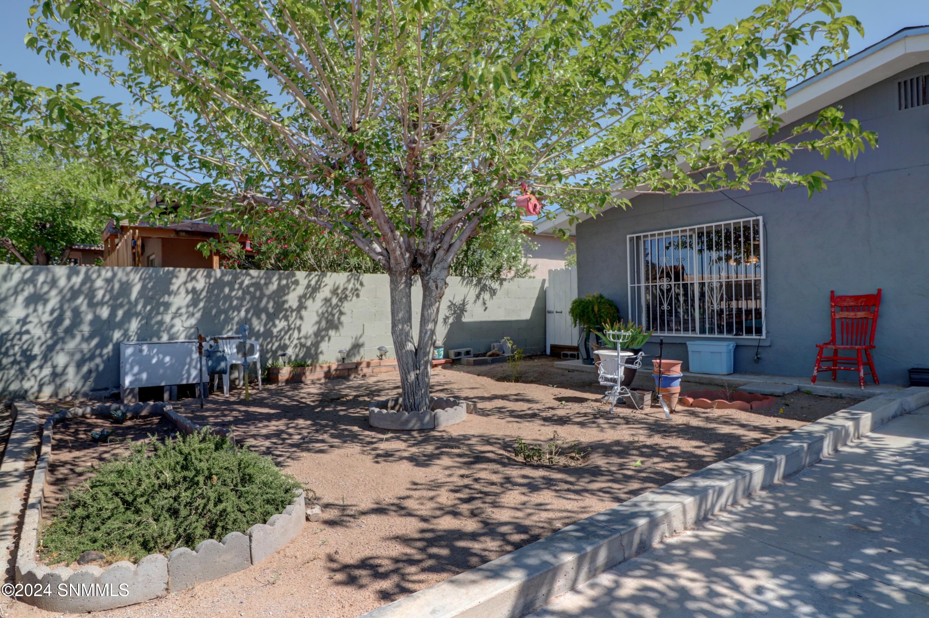 235 Cottonwood Street, Las Cruces, New Mexico image 3