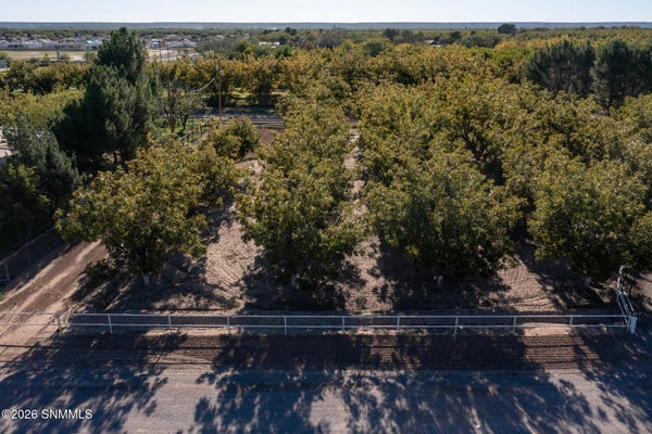3992 AMISTAD DR, LAS CRUCES, NM 88005 - Image f3e54eb9a86cddfd7b96d39b1eb09587/1859783304
