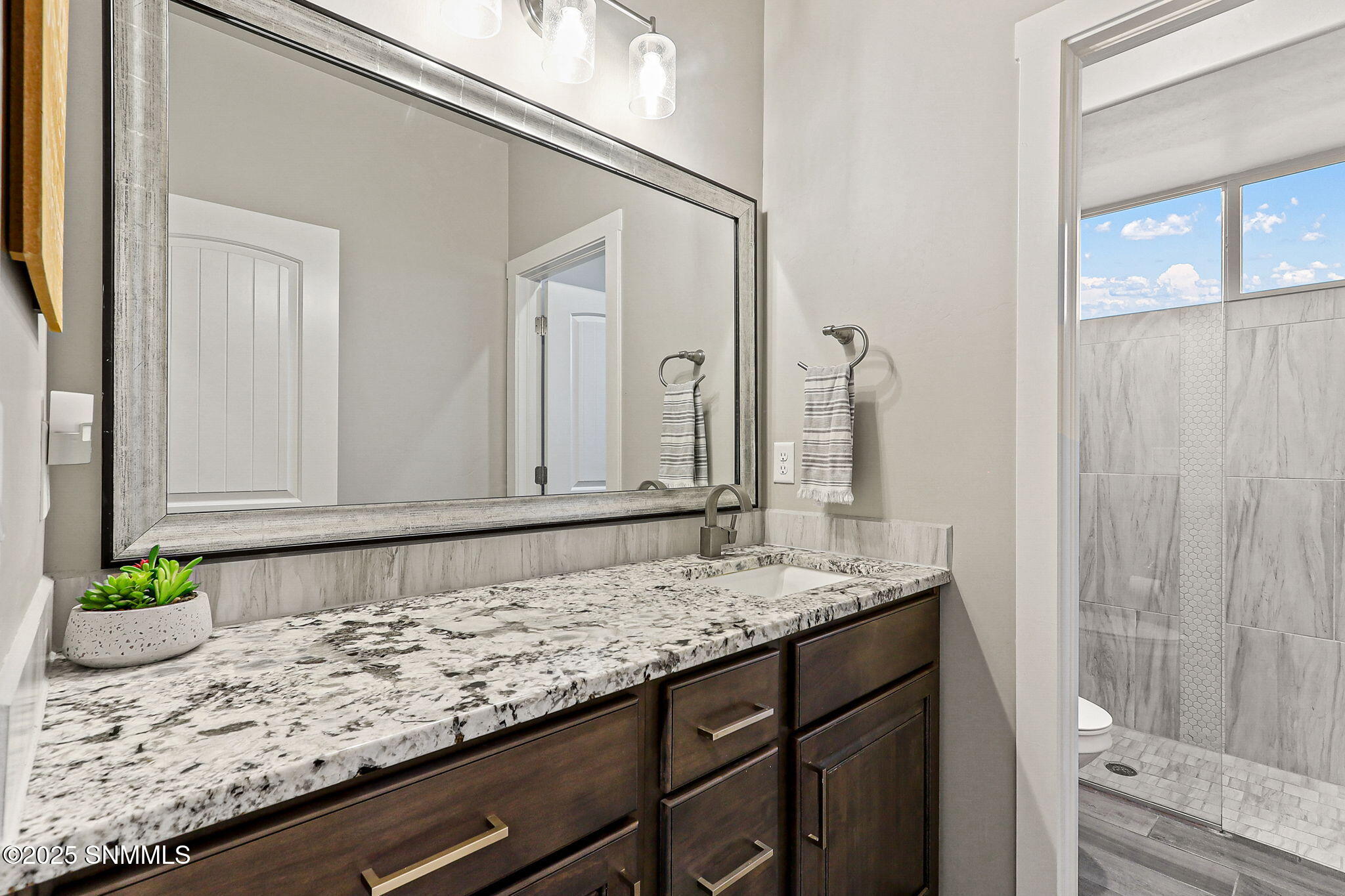 3036 Maddox Loop, Las Cruces, New Mexico image 40