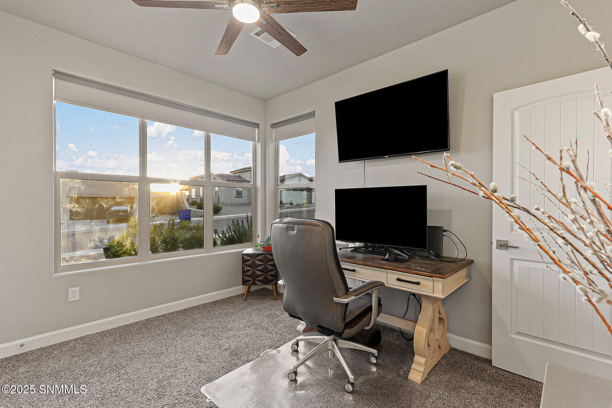 3036 Maddox Loop, Las Cruces, New Mexico image 48