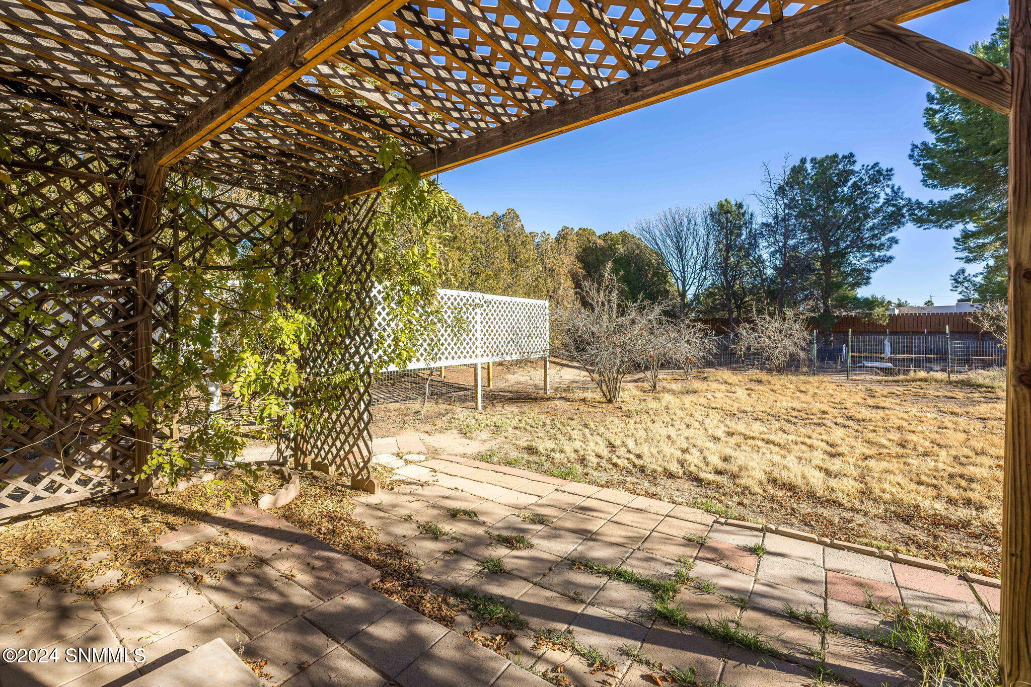 1470 Tierra Del Sol Drive, Las Cruces, New Mexico image 50