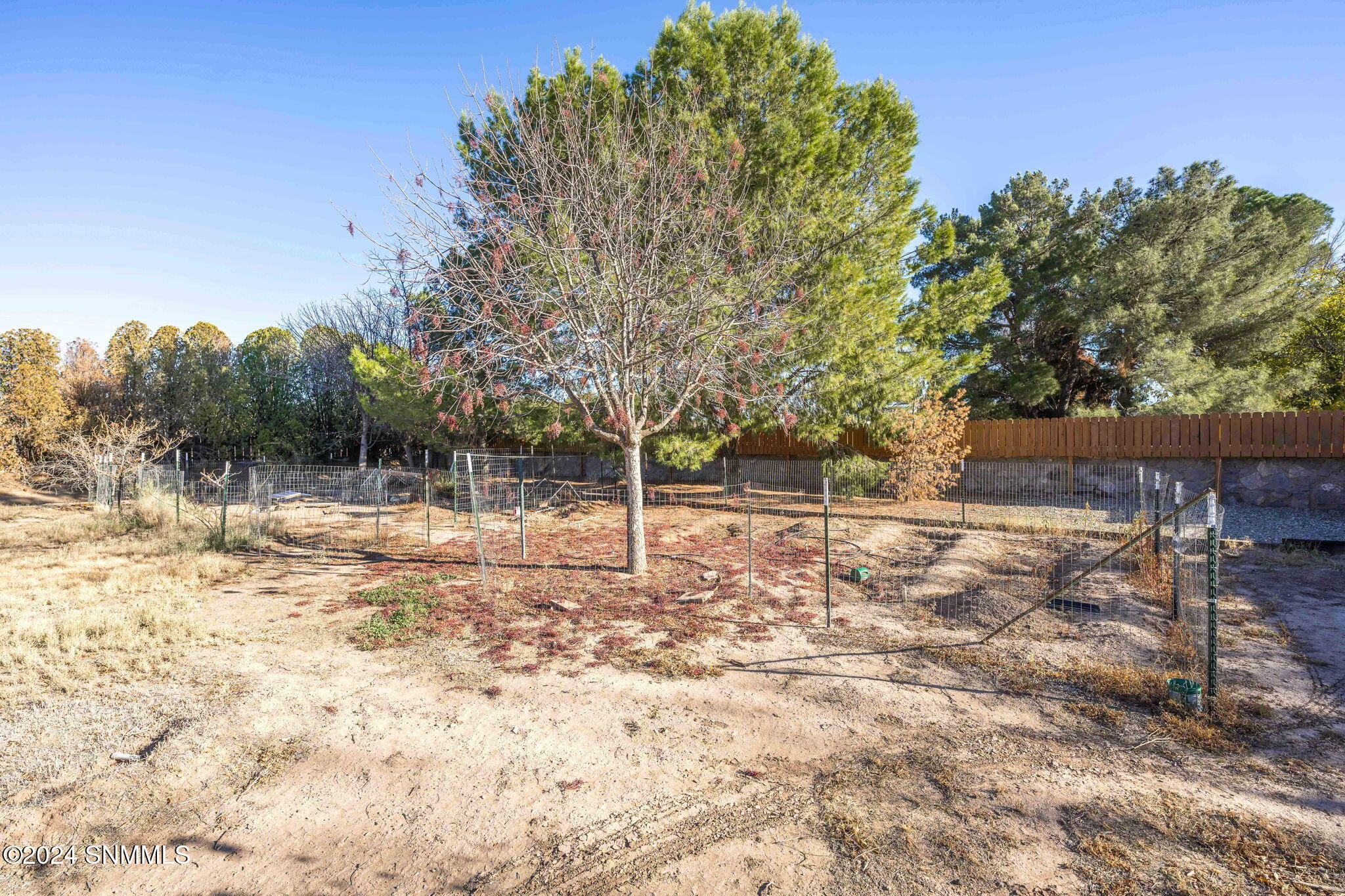 1470 Tierra Del Sol Drive, Las Cruces, New Mexico image 47