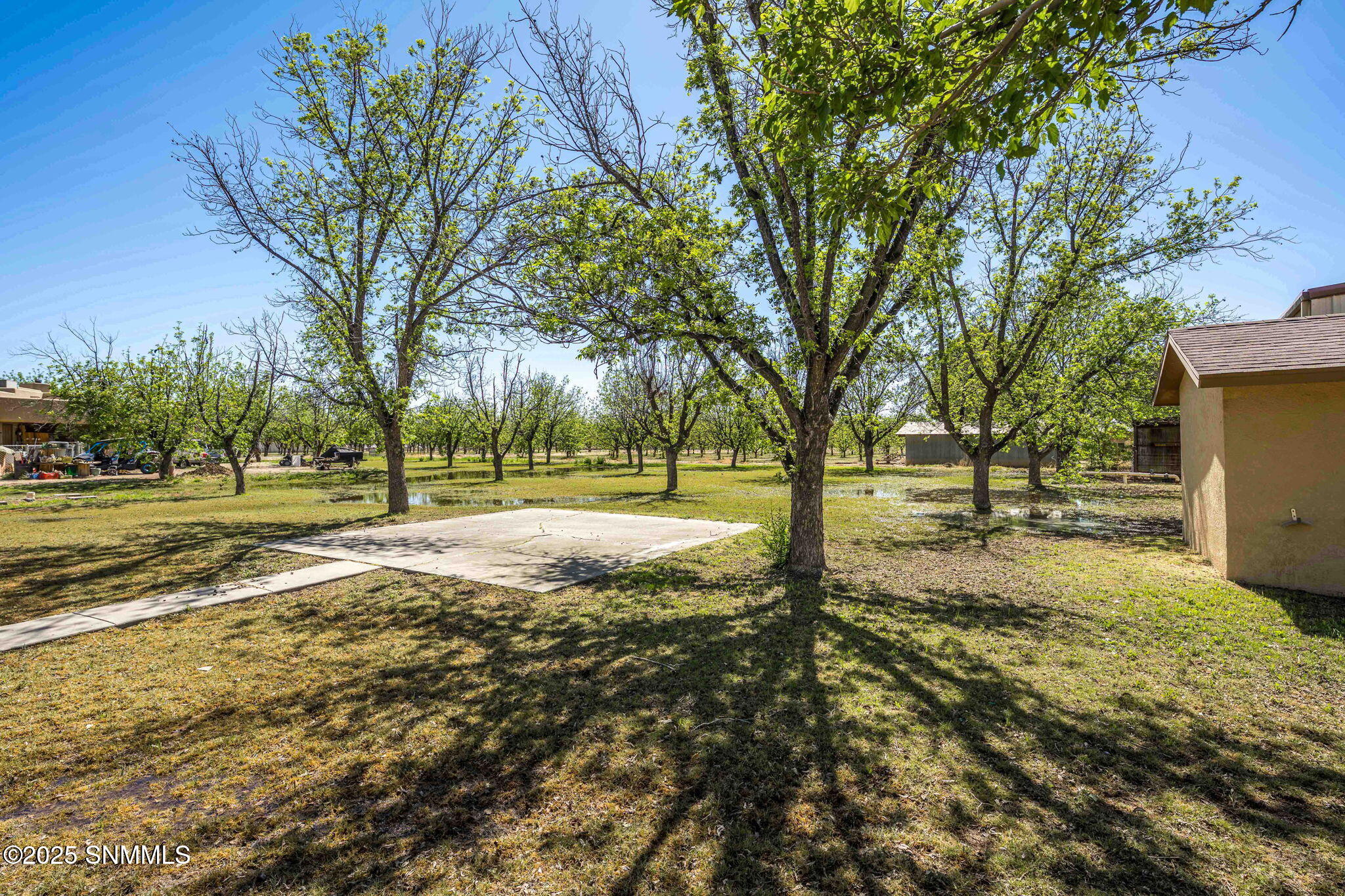 8030 Raging Bull Place, Mesilla Park, New Mexico image 49