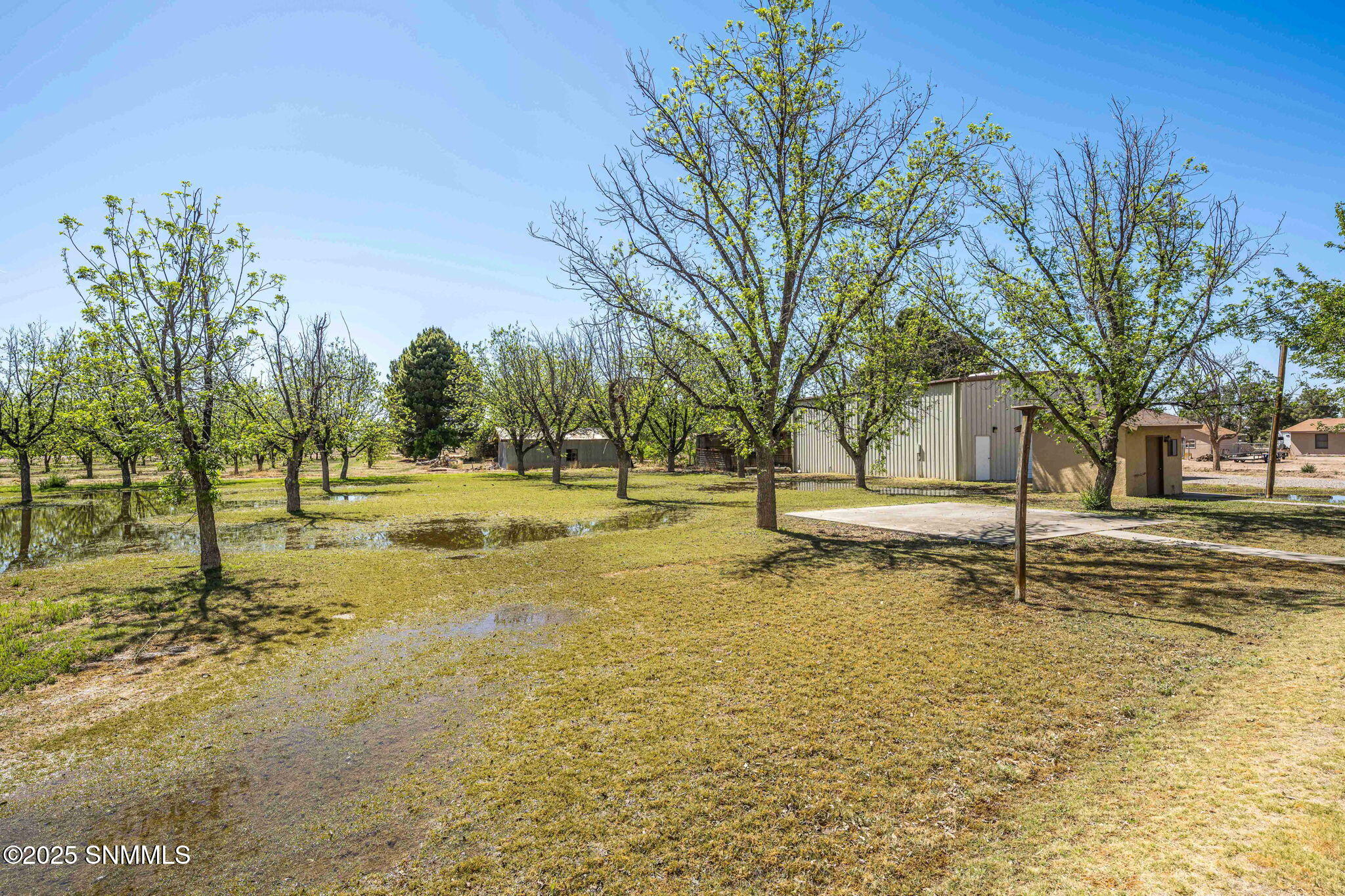 8030 Raging Bull Place, Mesilla Park, New Mexico image 50
