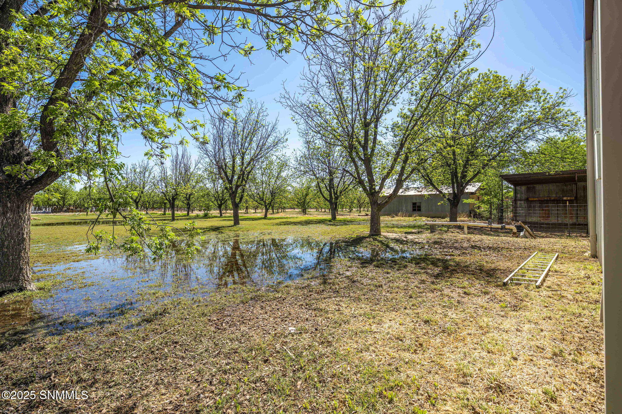 8030 Raging Bull Place, Mesilla Park, New Mexico image 4