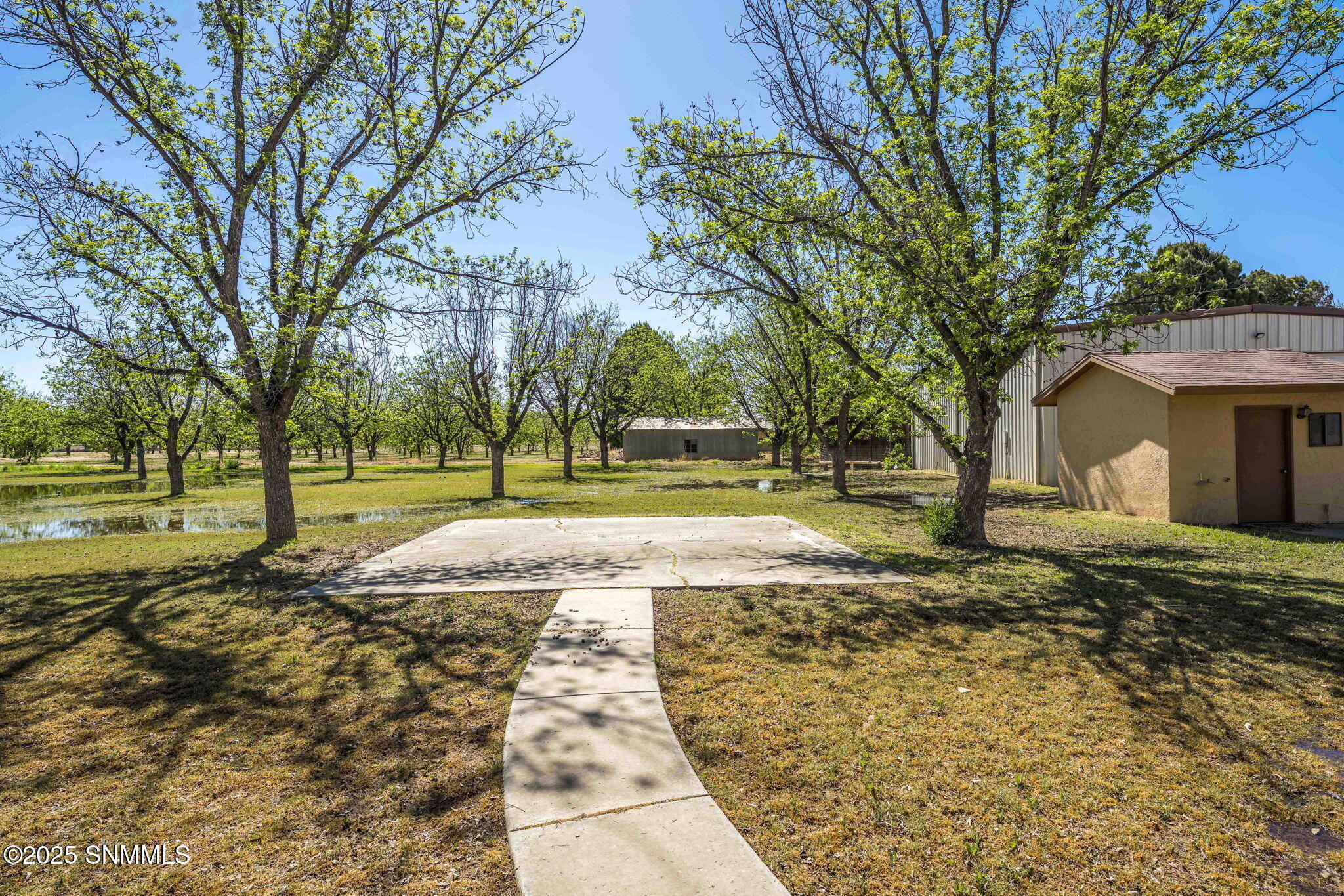 8030 Raging Bull Place, Mesilla Park, New Mexico image 48