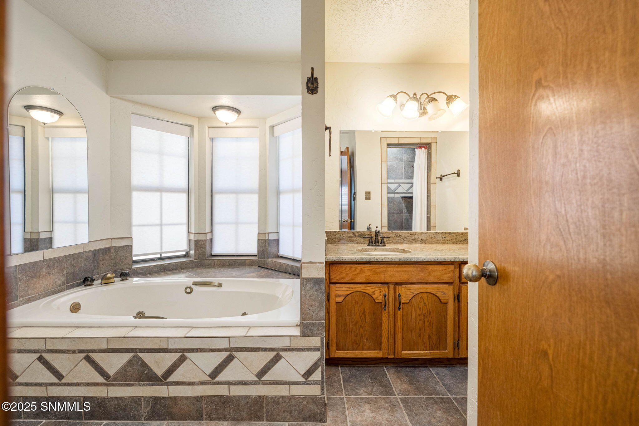 8030 Raging Bull Place, Mesilla Park, New Mexico image 41
