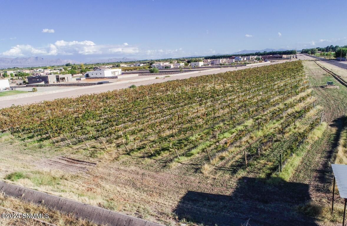 799 S Fairacres Road, Las Cruces, New Mexico image 8