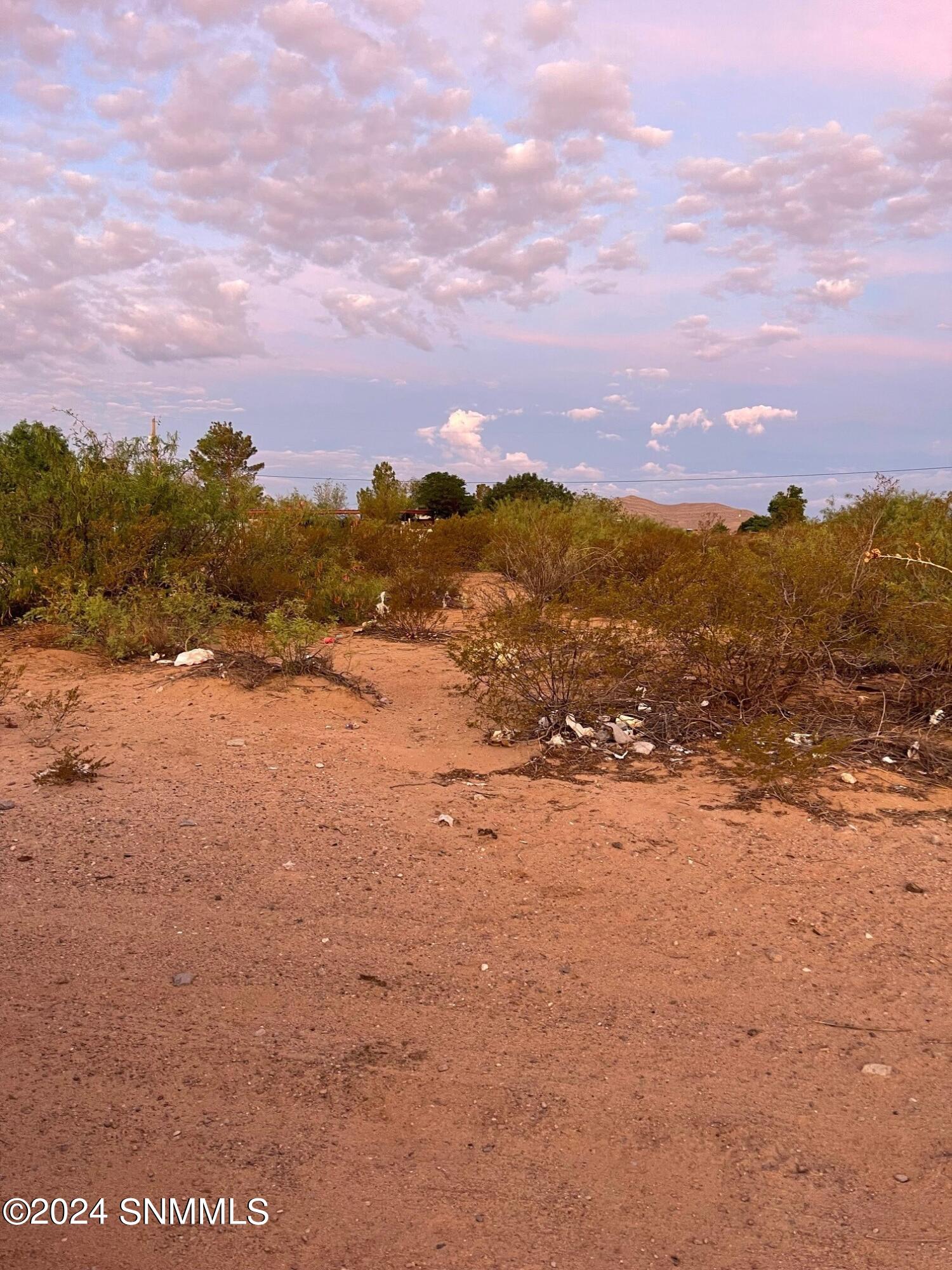 0000 Enchantment Drive, Chaparral, New Mexico image 2