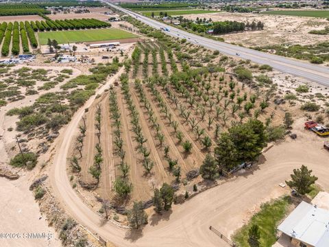 Vacant Land For Sale - 201 Squirrel Road<br/> Dona Ana County, Las Cruces, NM 88007