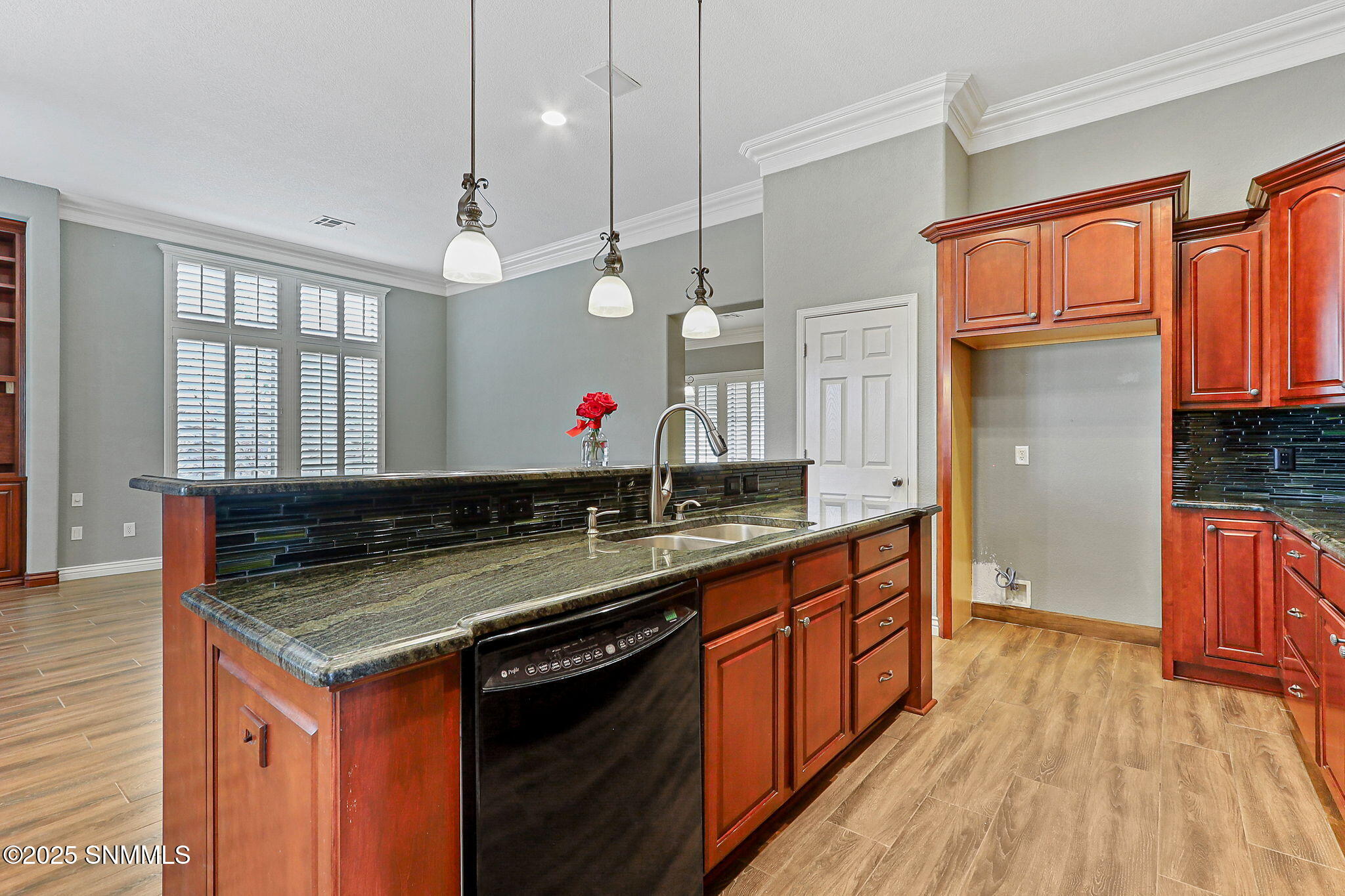4203 Canterra Arc, Las Cruces, New York image 23