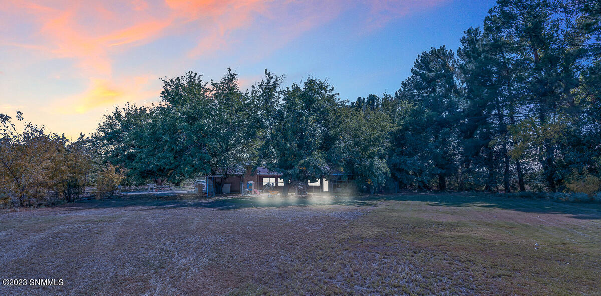 3193 Avenida De Mesilla, Mesilla, New Mexico image 38