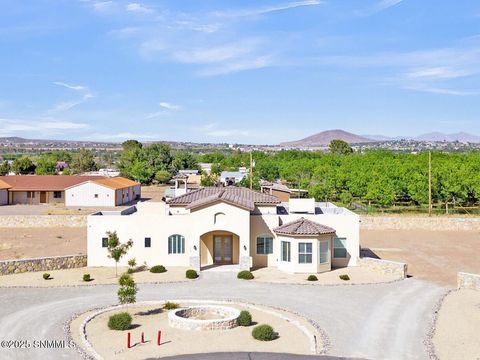 1122 Snowy Egrett Court, Las Cruces, NM 88007 - #: 2500088