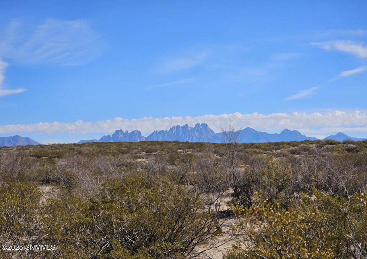 Las Cruces, New Mexico 88012, United States, ,Land,Active,127219