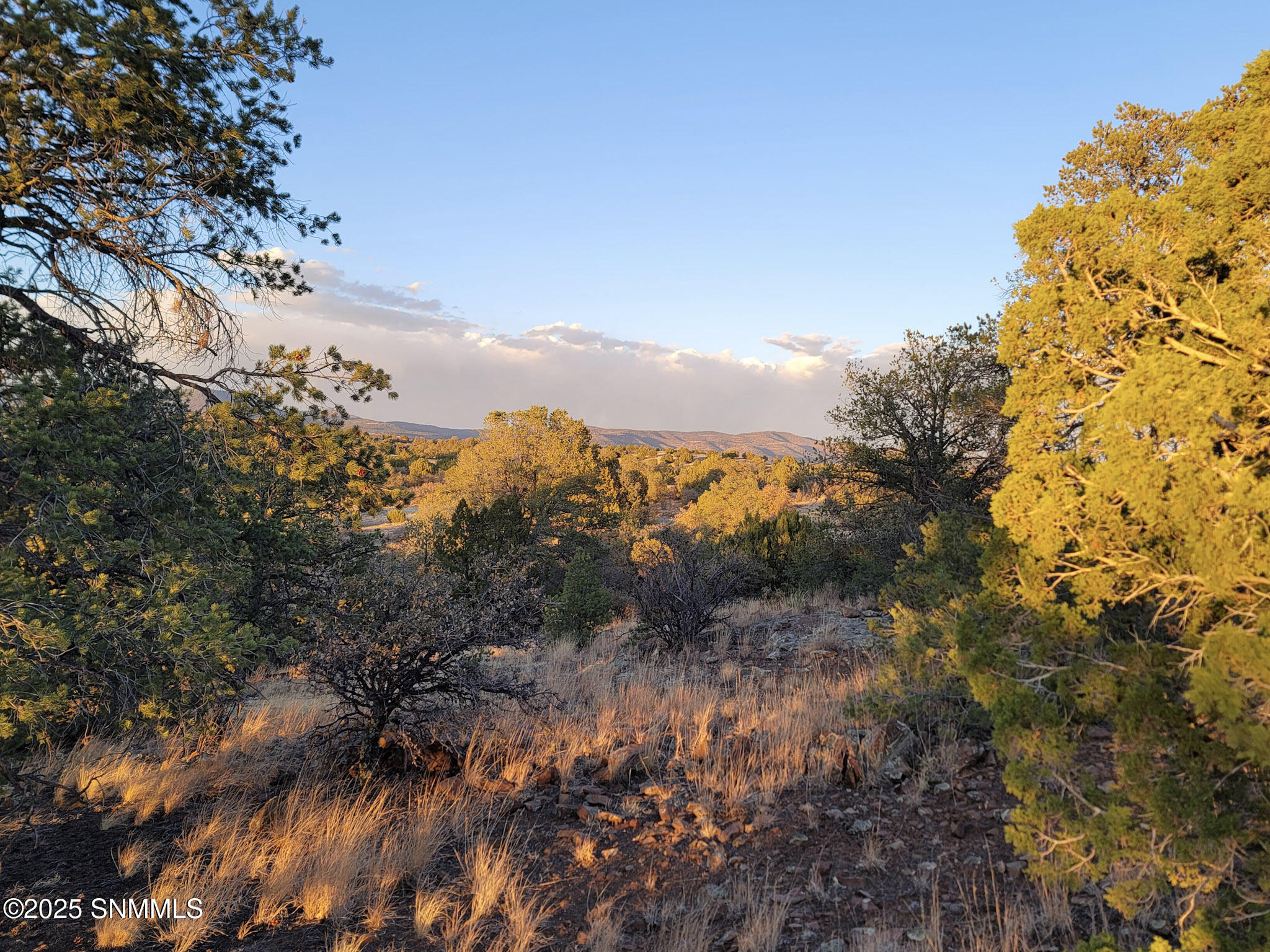 TBD B Xyz Ranch Road, Silver City, New Mexico image 4