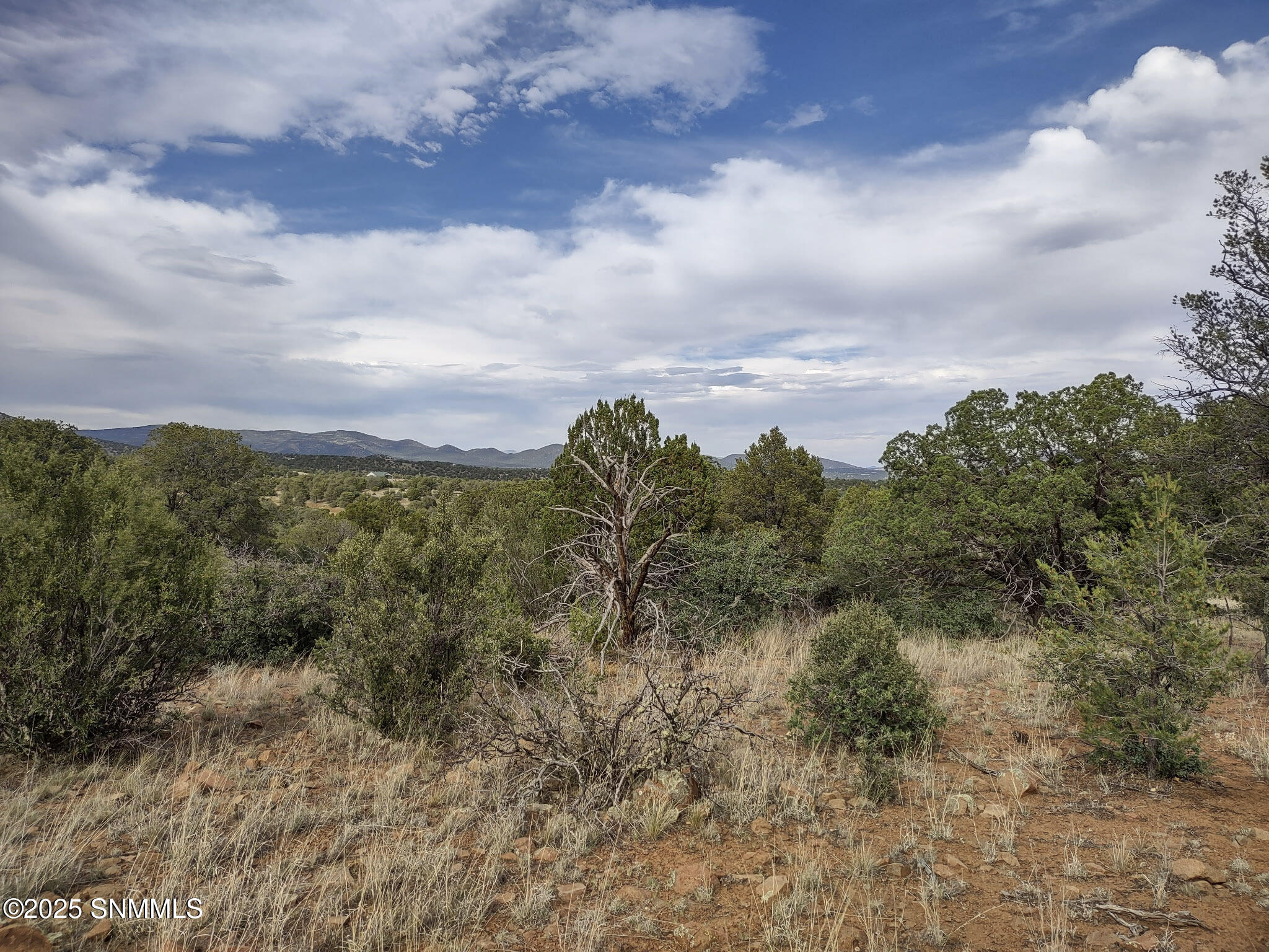 TBD B Xyz Ranch Road, Silver City, New Mexico image 20