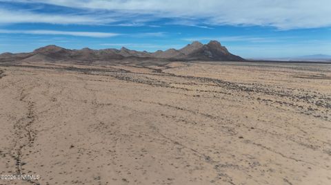 Vacant Land For Sale - TBD South Pie Rd Se<br/> Luna County, Columbus, NM 88029