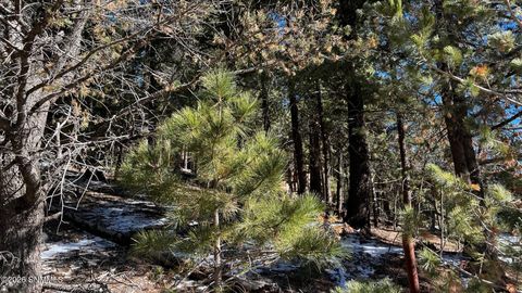Vacant Land For Sale - 123 Canyon Trail<br/> Cloudcroft, NM 88317