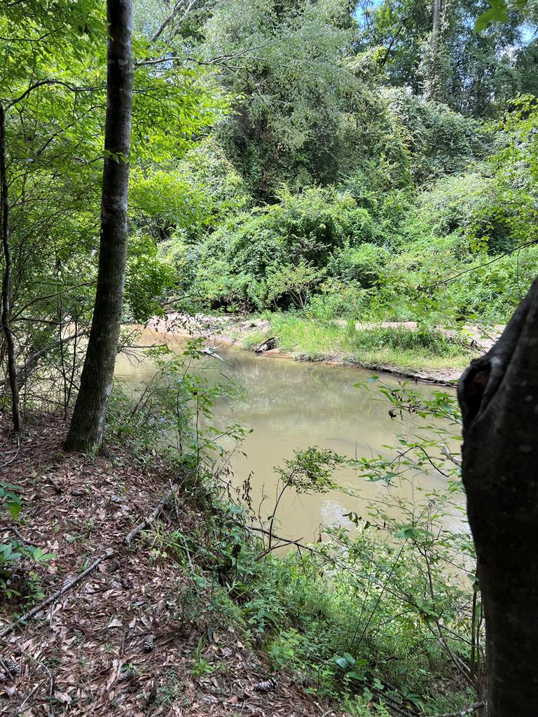 Magnolia, Mississippi 39652, United States, ,Land,Active,174646