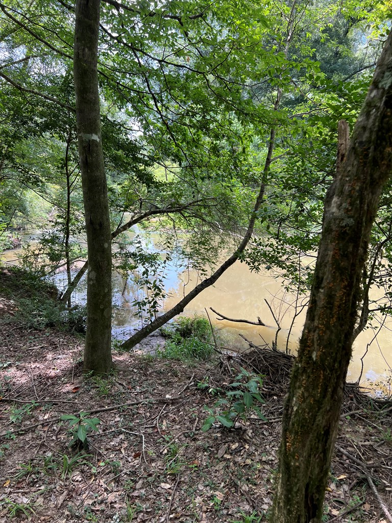 Magnolia, Mississippi 39652, United States, ,Land,Active,174646