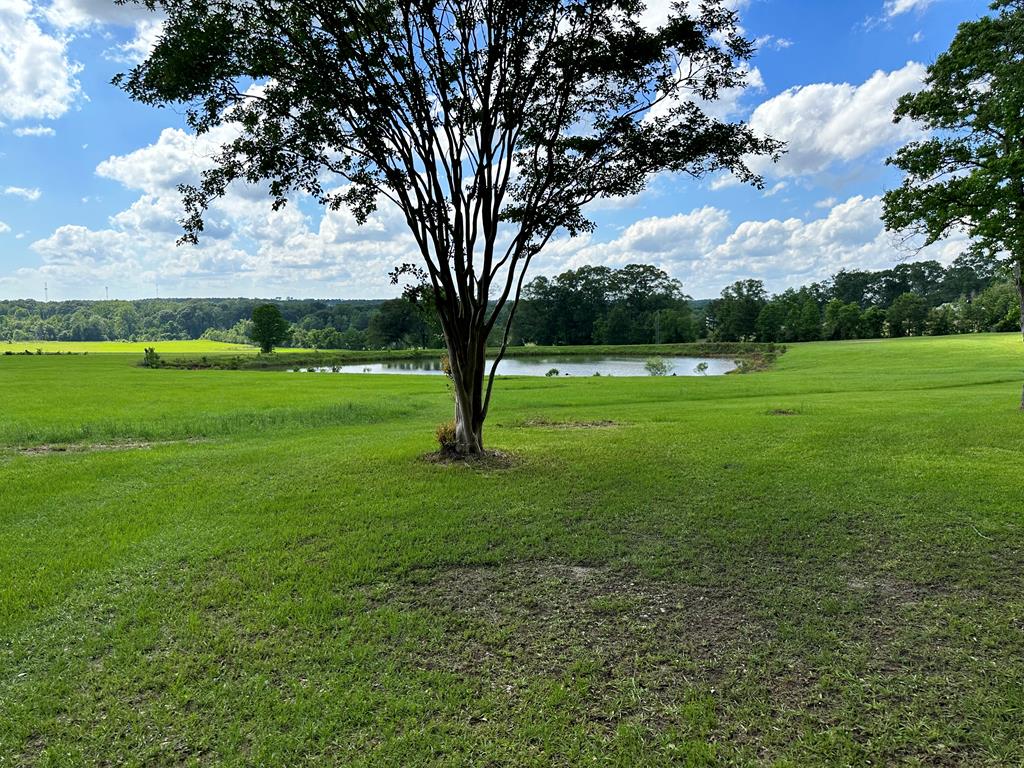 Magnolia, Mississippi 39652, United States, 3 Bedrooms Bedrooms, ,3 BathroomsBathrooms,Residential,Active,57825