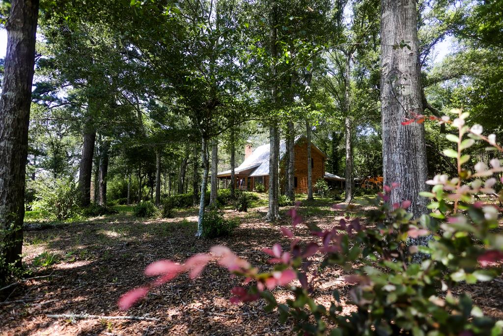 Magnolia, Mississippi 39652, United States, 3 Bedrooms Bedrooms, ,3 BathroomsBathrooms,Residential,Active,57825