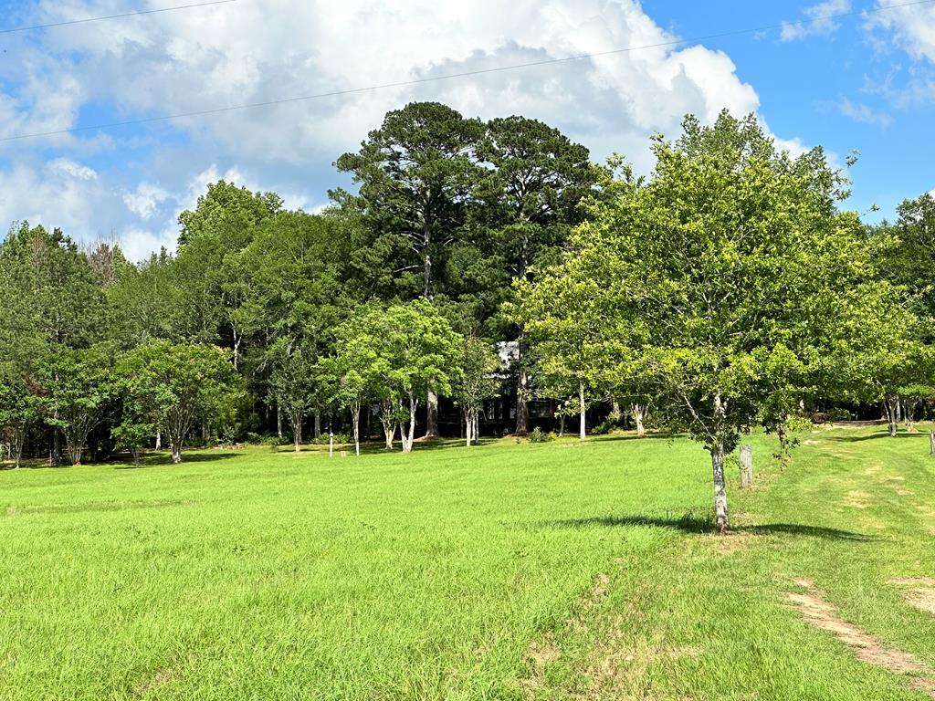 Magnolia, Mississippi 39652, United States, 3 Bedrooms Bedrooms, ,3 BathroomsBathrooms,Residential,Active,57825